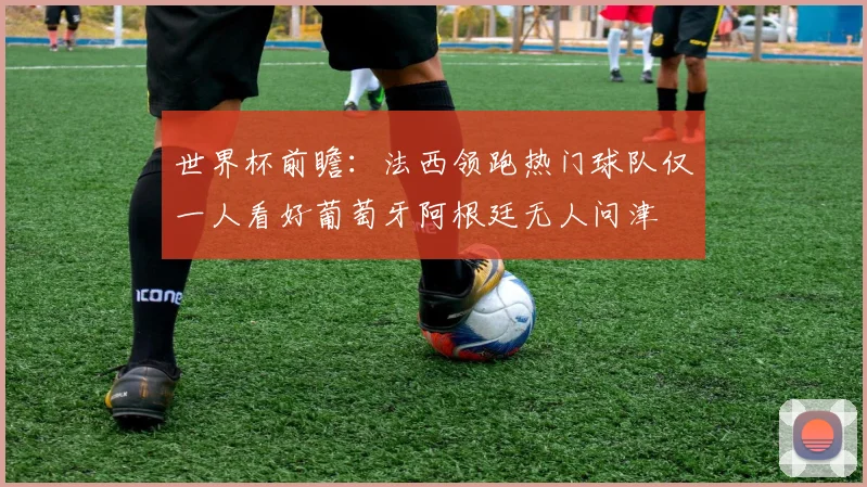世界杯前瞻：法西领跑热门球队仅一人看好葡萄牙阿根廷无人问津