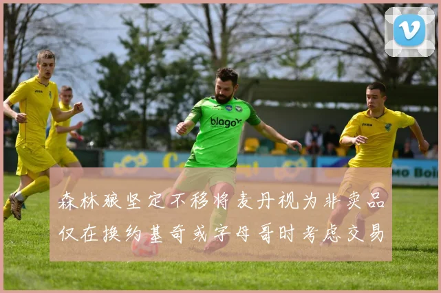 森林狼坚定不移将麦丹视为非卖品仅在换约基奇或字母哥时考虑交易
